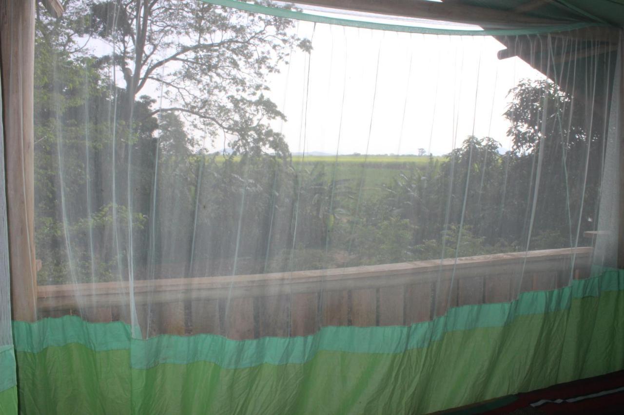 Forest Tree Top Holiday Resort Buttala Bagian luar foto