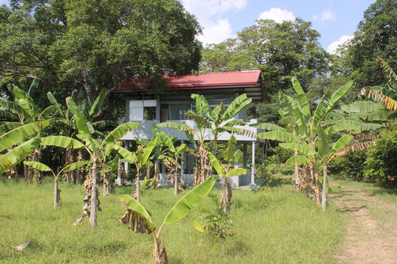 Forest Tree Top Holiday Resort Buttala Bagian luar foto