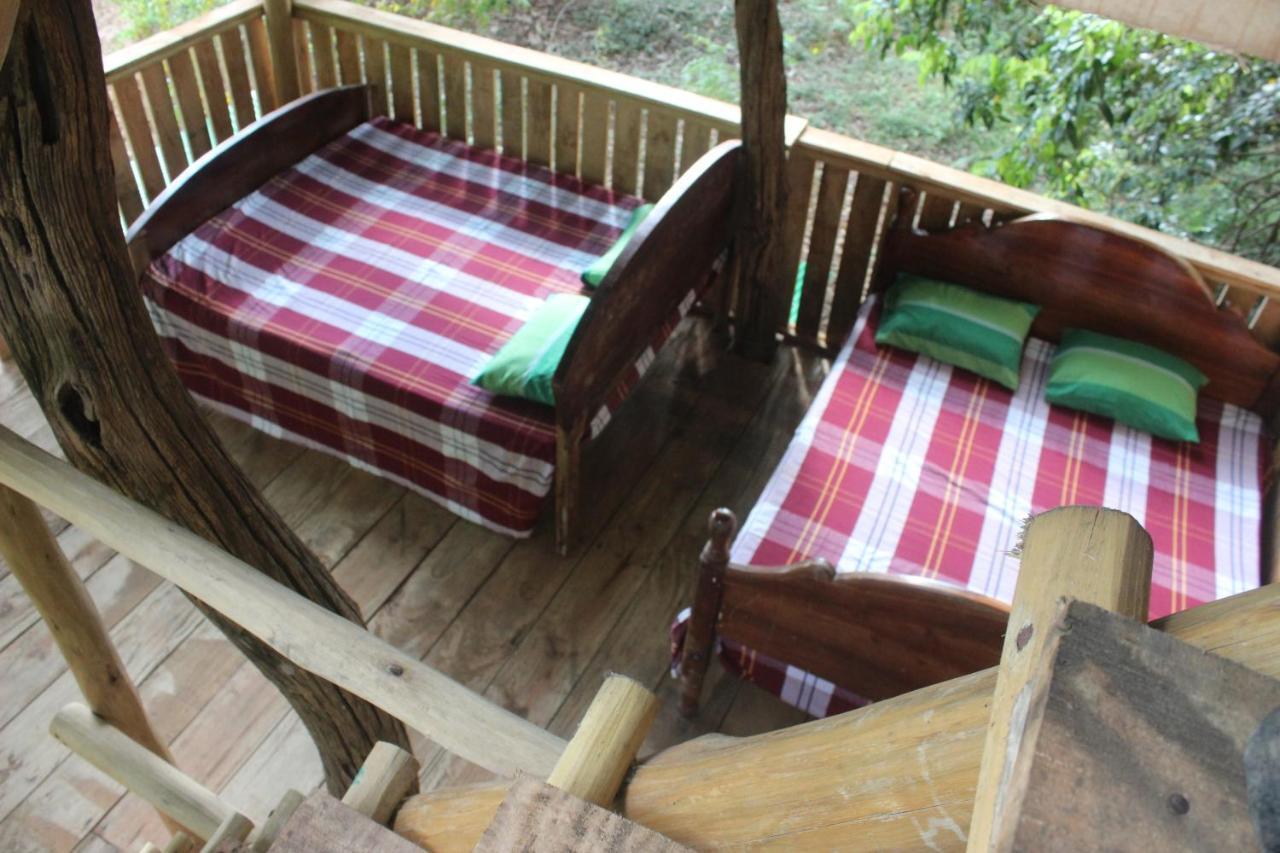 Forest Tree Top Holiday Resort Buttala Bagian luar foto