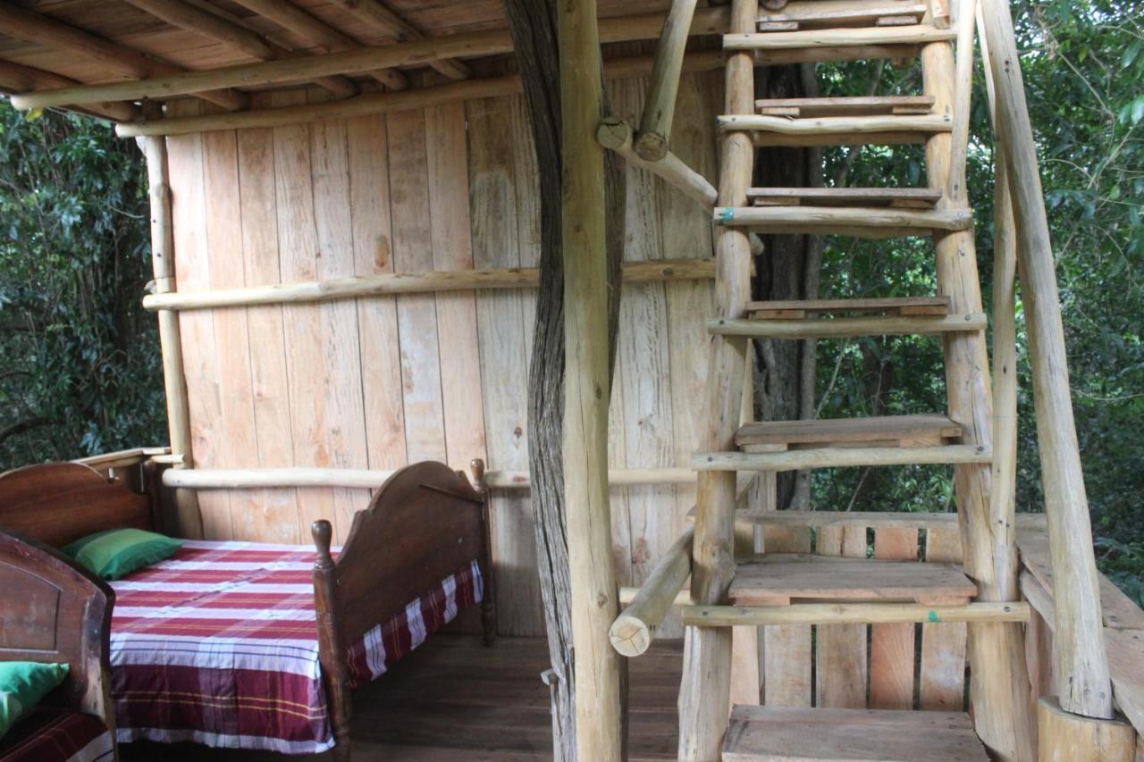 Forest Tree Top Holiday Resort Buttala Bagian luar foto