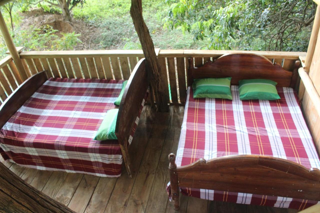 Forest Tree Top Holiday Resort Buttala Bagian luar foto