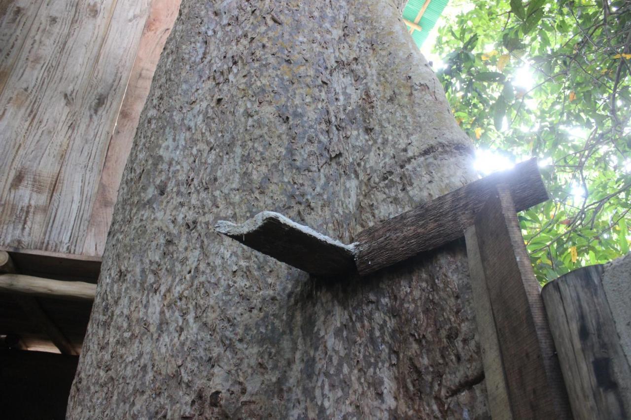 Forest Tree Top Holiday Resort Buttala Bagian luar foto