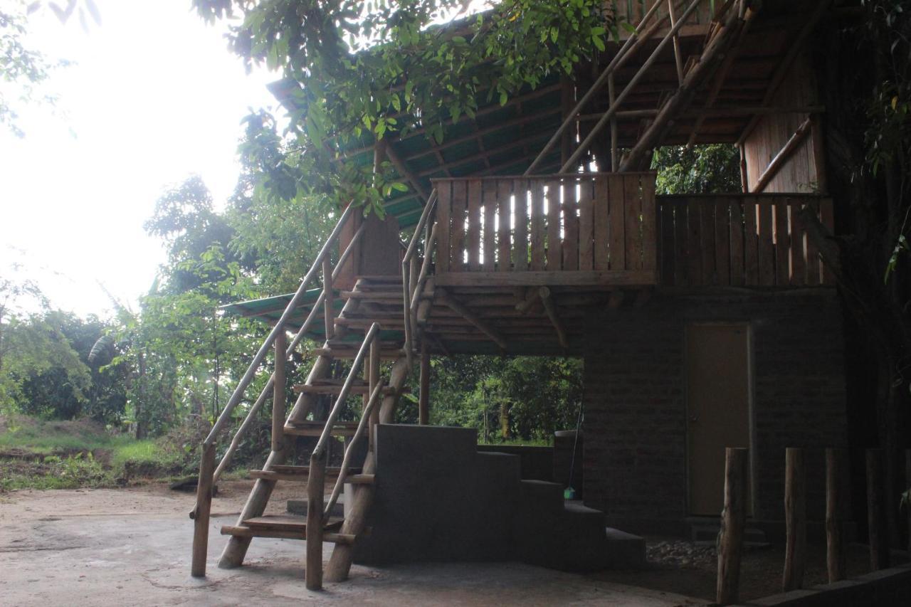 Forest Tree Top Holiday Resort Buttala Bagian luar foto